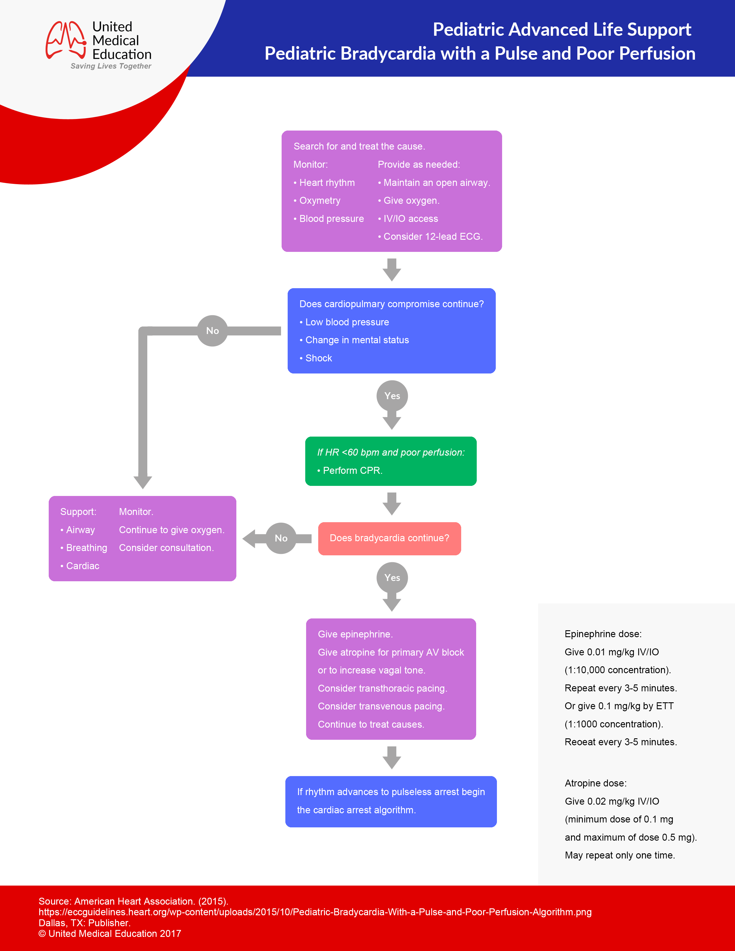 Epinephrine Dosage Chart